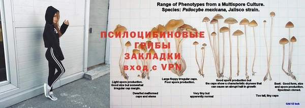 герыч Абдулино